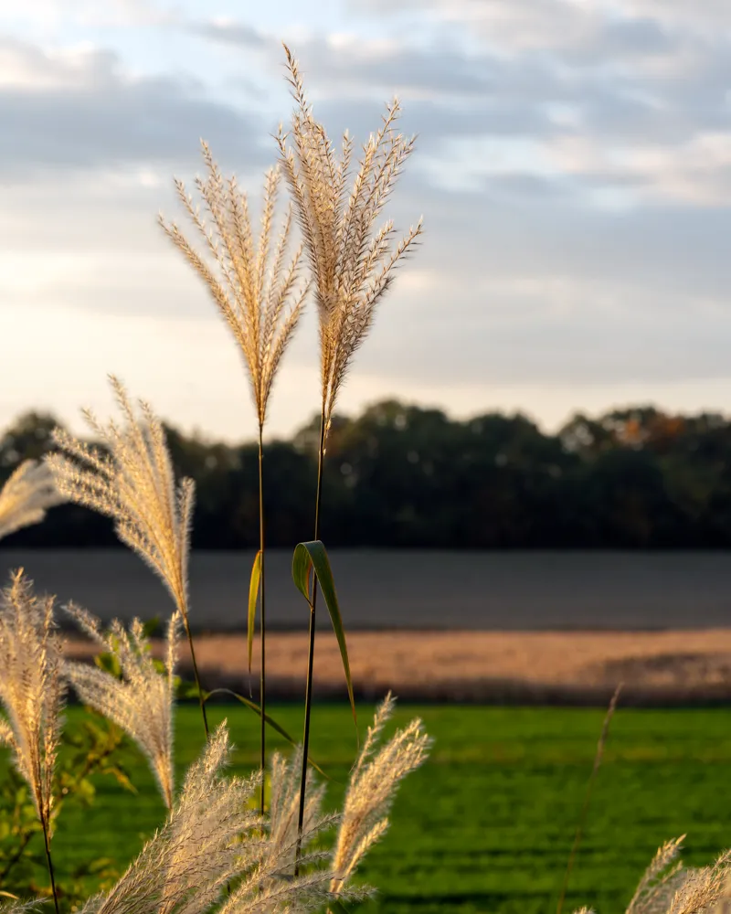 Country Fall Photos