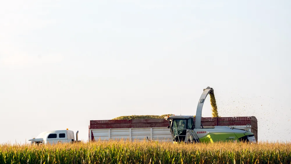 harvest print