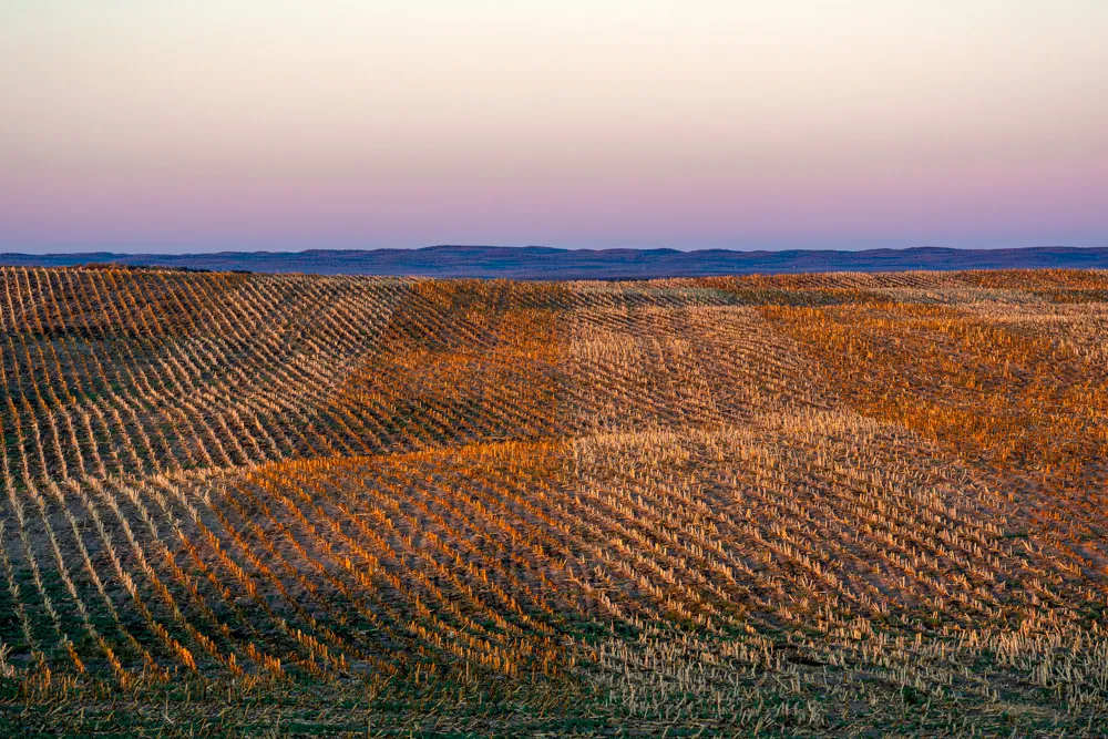 country field print